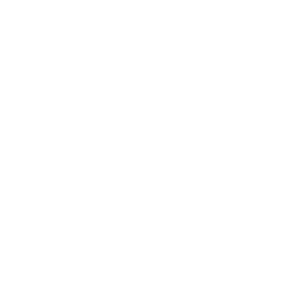 Ezeewallet logo.